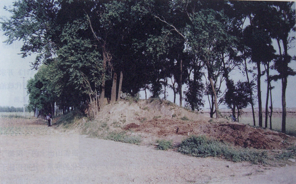 0064.jpg